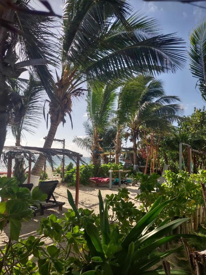 Lunazul Eco-Cabana Frente Al Mar Mahahual Ngoại thất bức ảnh