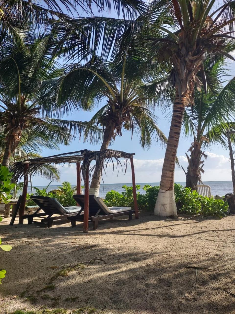 Lunazul Eco-Cabana Frente Al Mar Mahahual Ngoại thất bức ảnh