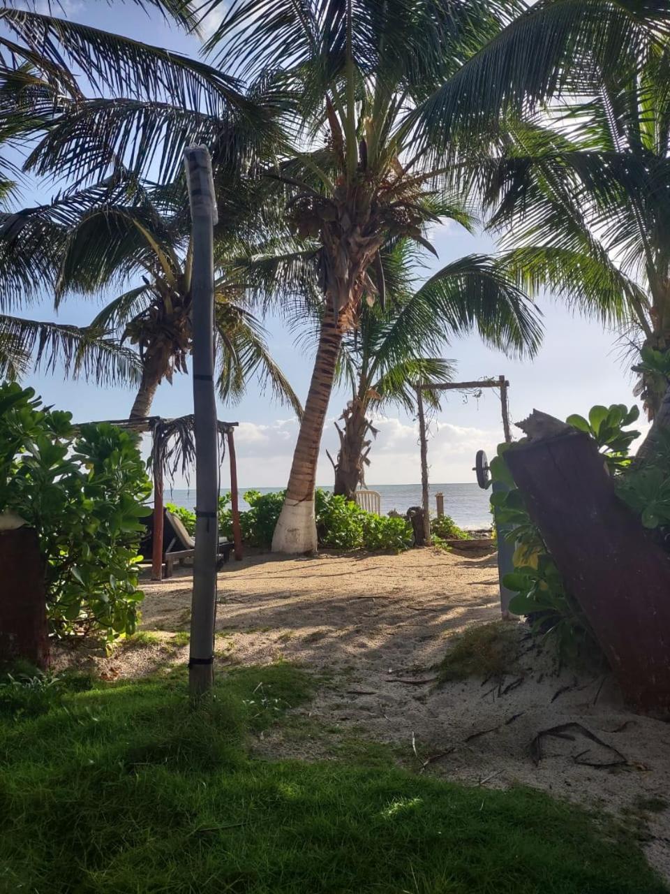 Lunazul Eco-Cabana Frente Al Mar Mahahual Ngoại thất bức ảnh