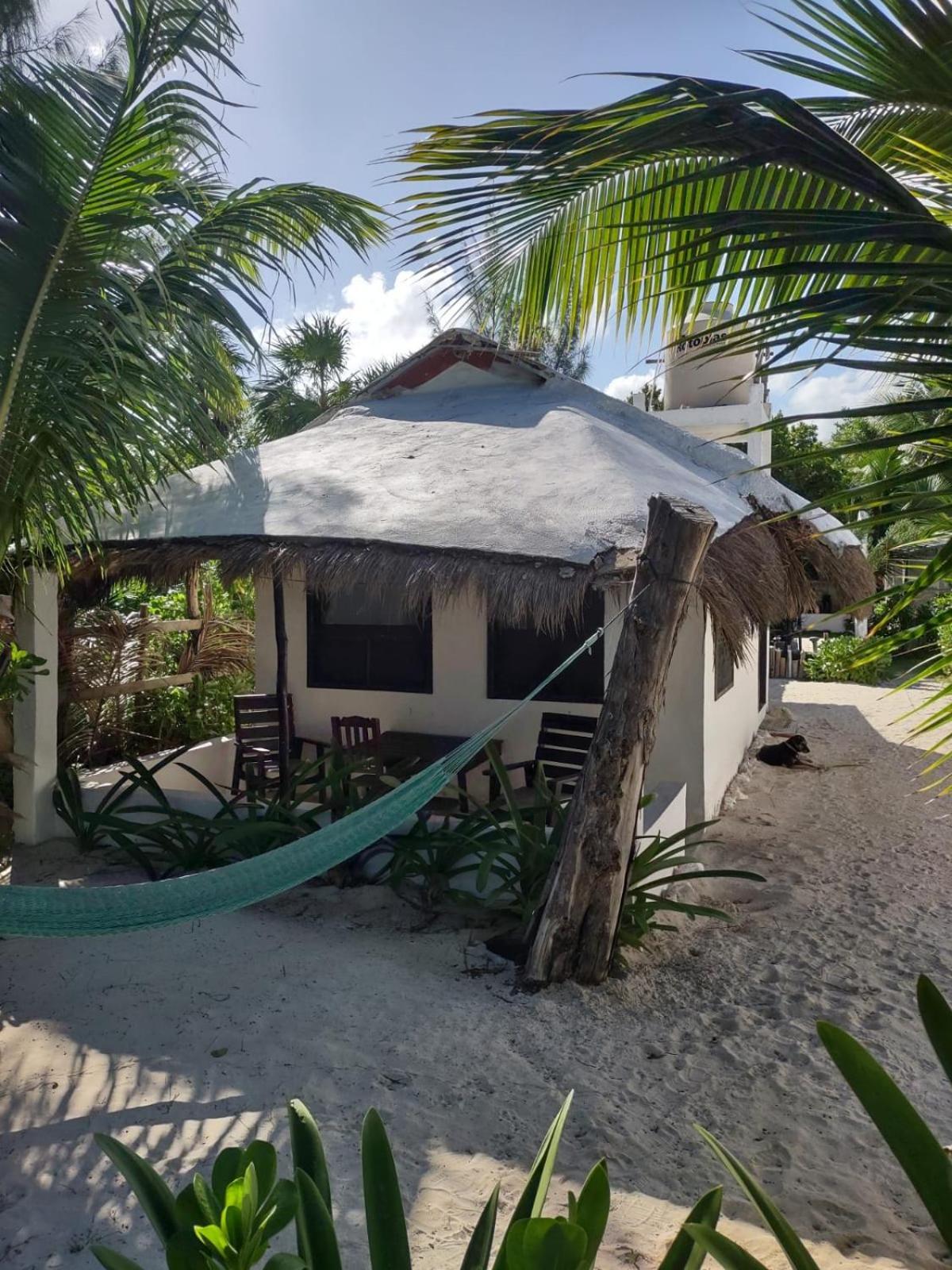 Lunazul Eco-Cabana Frente Al Mar Mahahual Ngoại thất bức ảnh
