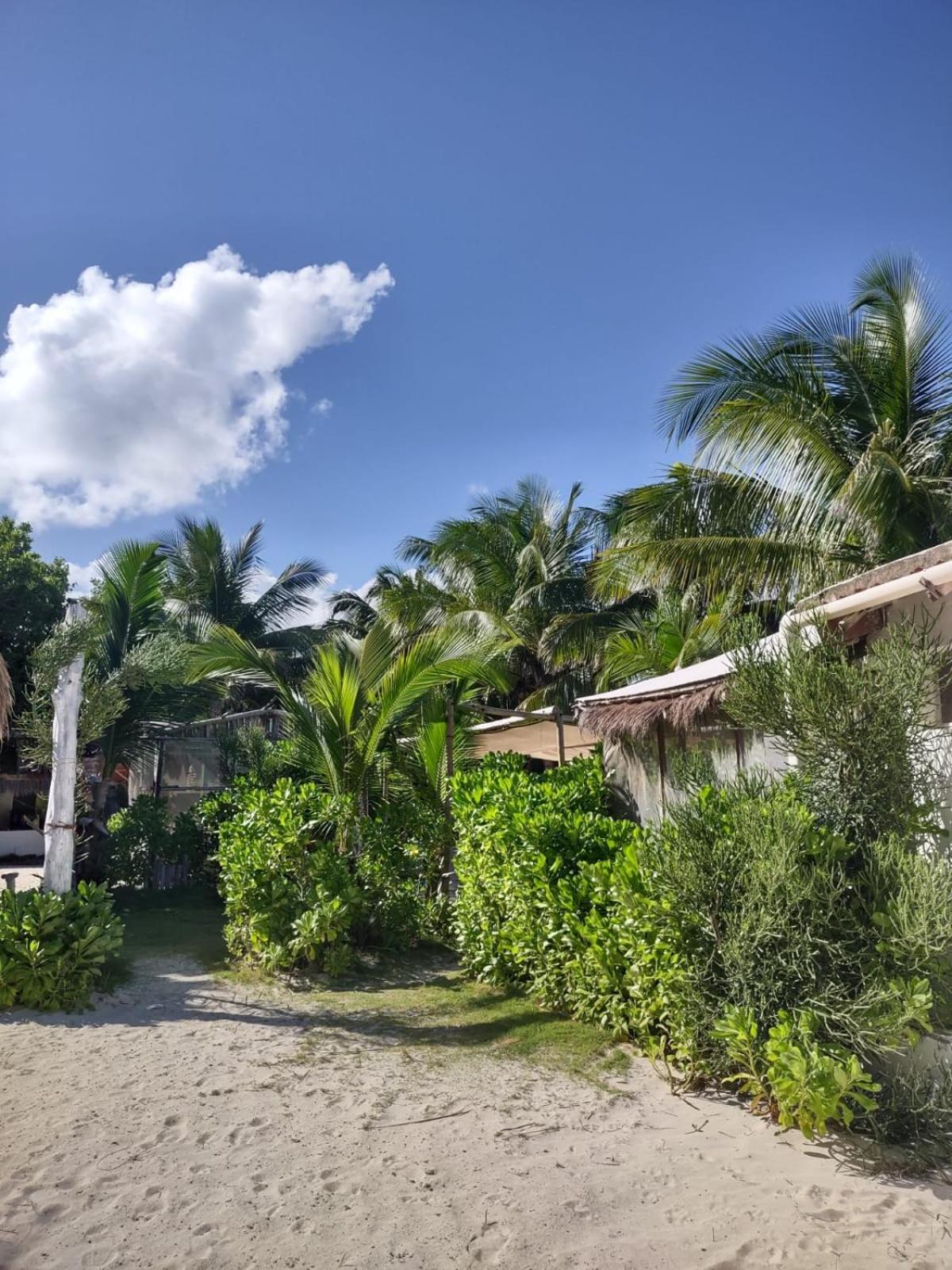 Lunazul Eco-Cabana Frente Al Mar Mahahual Ngoại thất bức ảnh